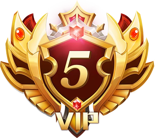 Gói VIP 5